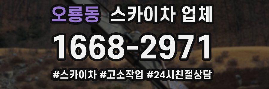 오룡동 스카이차 업체