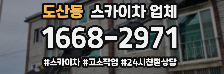 도산동 스카이차 업체