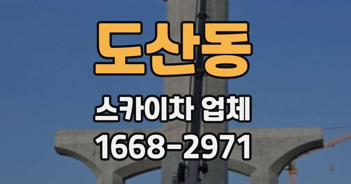 도산동 스카이차 업체