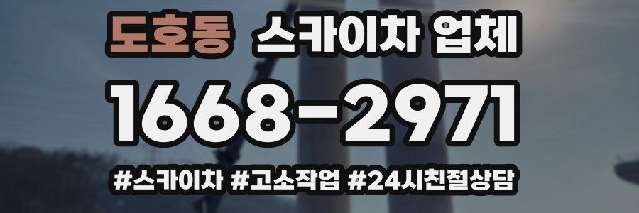 도호동 스카이차 업체