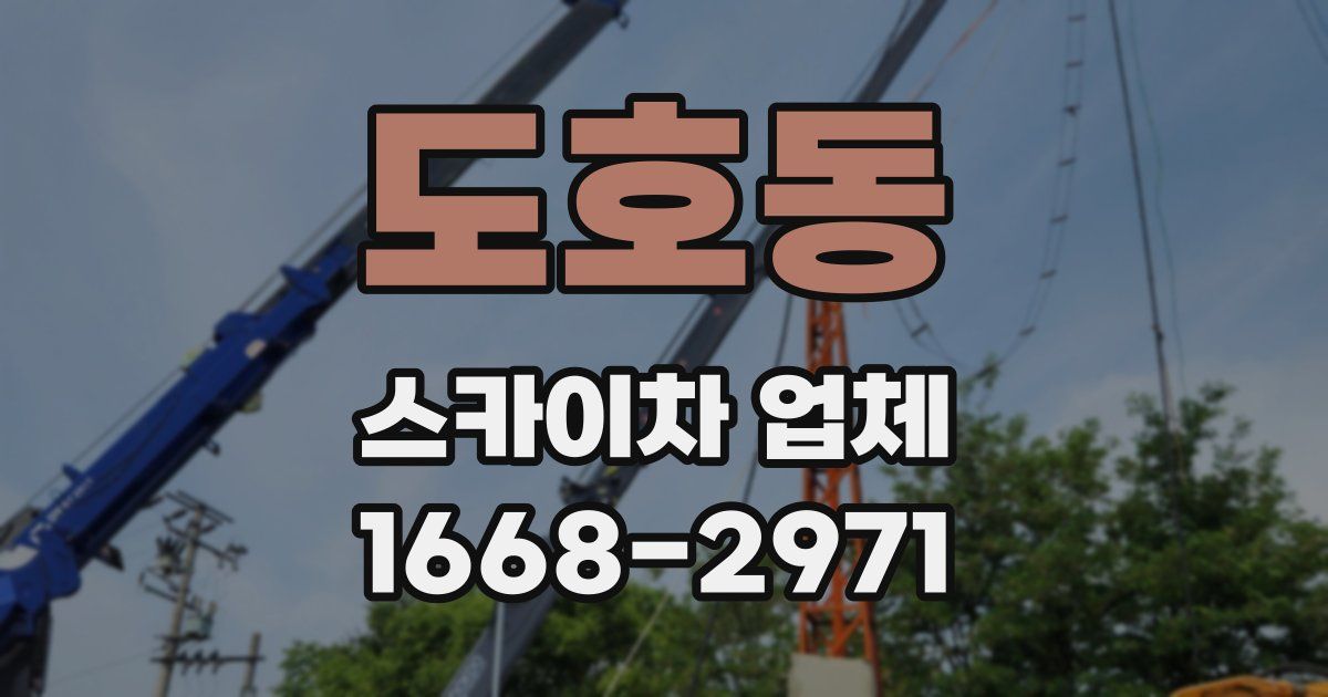 도호동 스카이차 업체