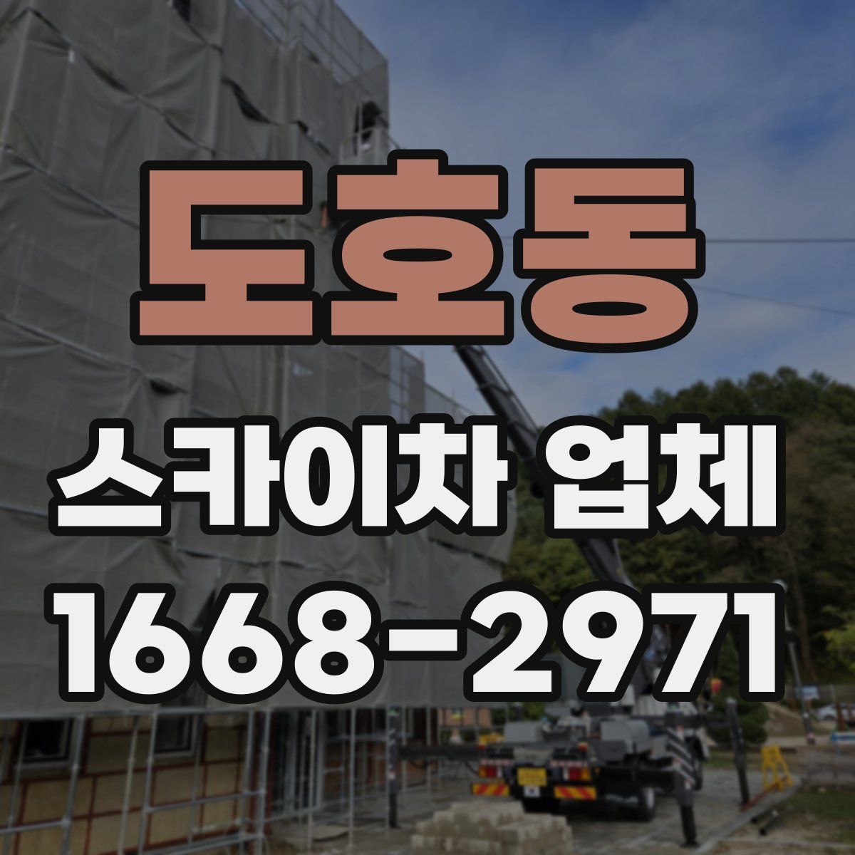 도호동 스카이차 업체