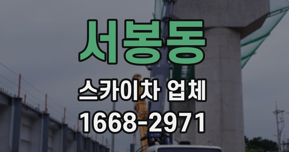 서봉동 스카이차 업체