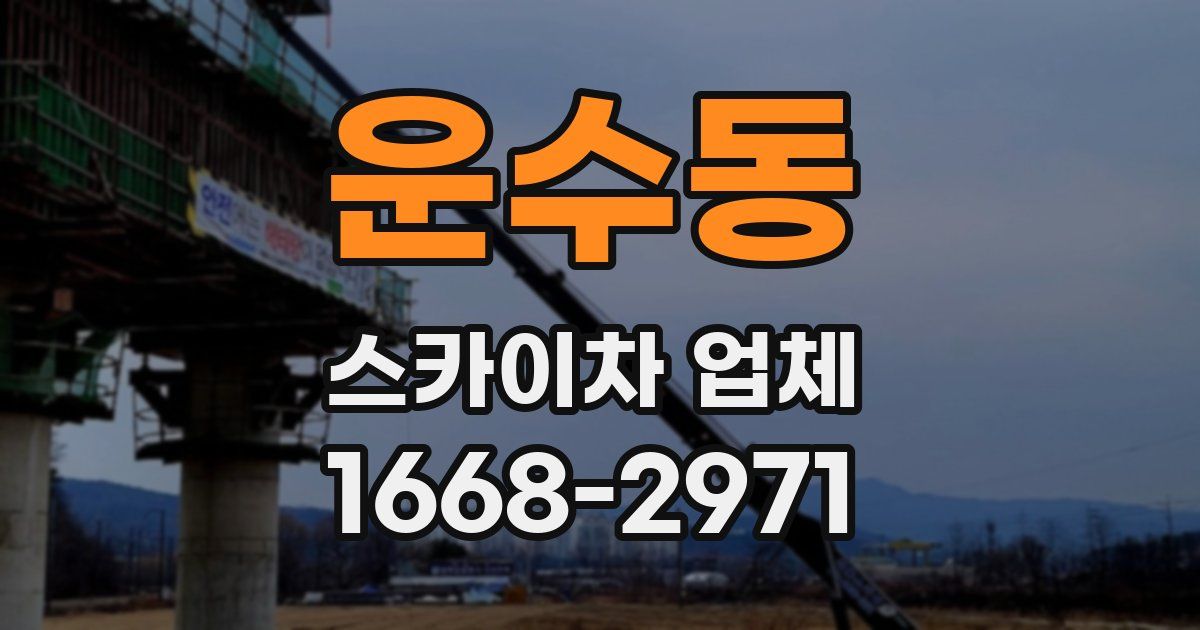 운수동 스카이차 업체