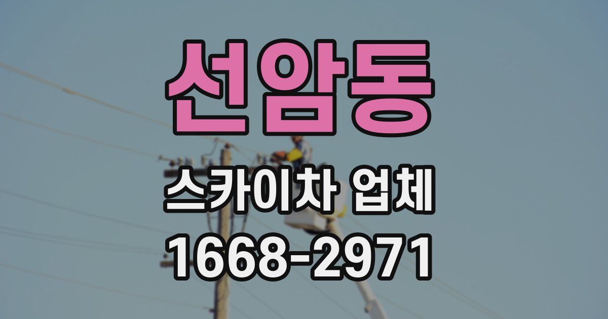 선암동 스카이차 업체