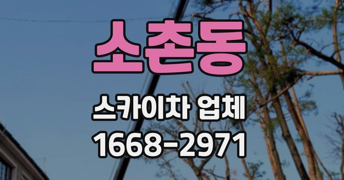소촌동 스카이차 업체