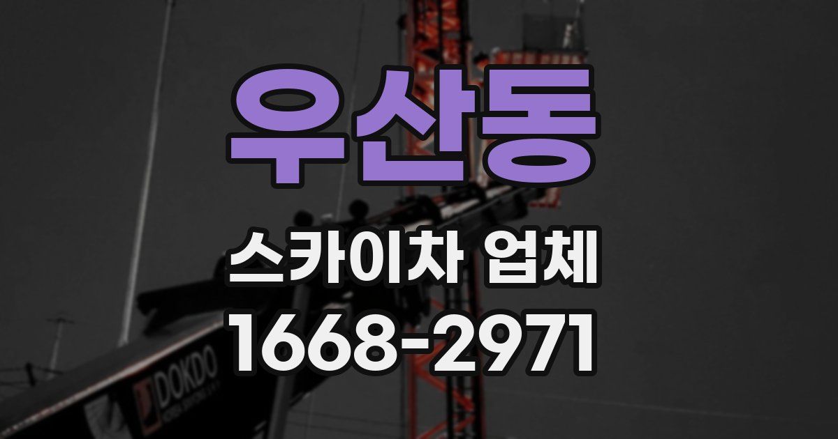 우산동 스카이차 업체