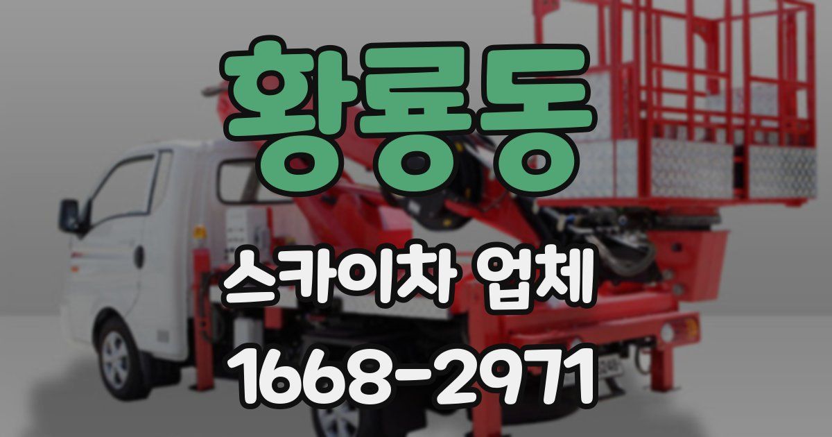 황룡동 스카이차 업체