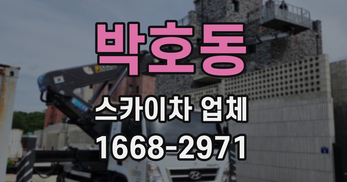 박호동 스카이차 업체