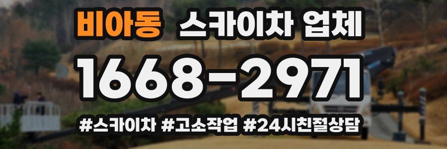 비아동 스카이차 업체