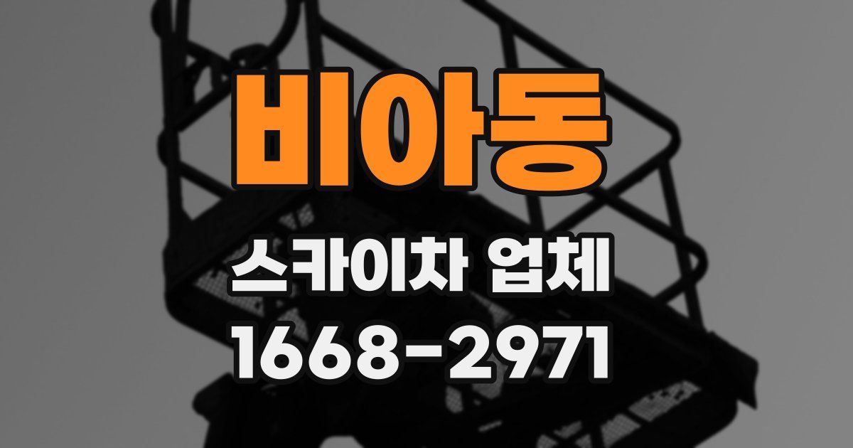 비아동 스카이차 업체