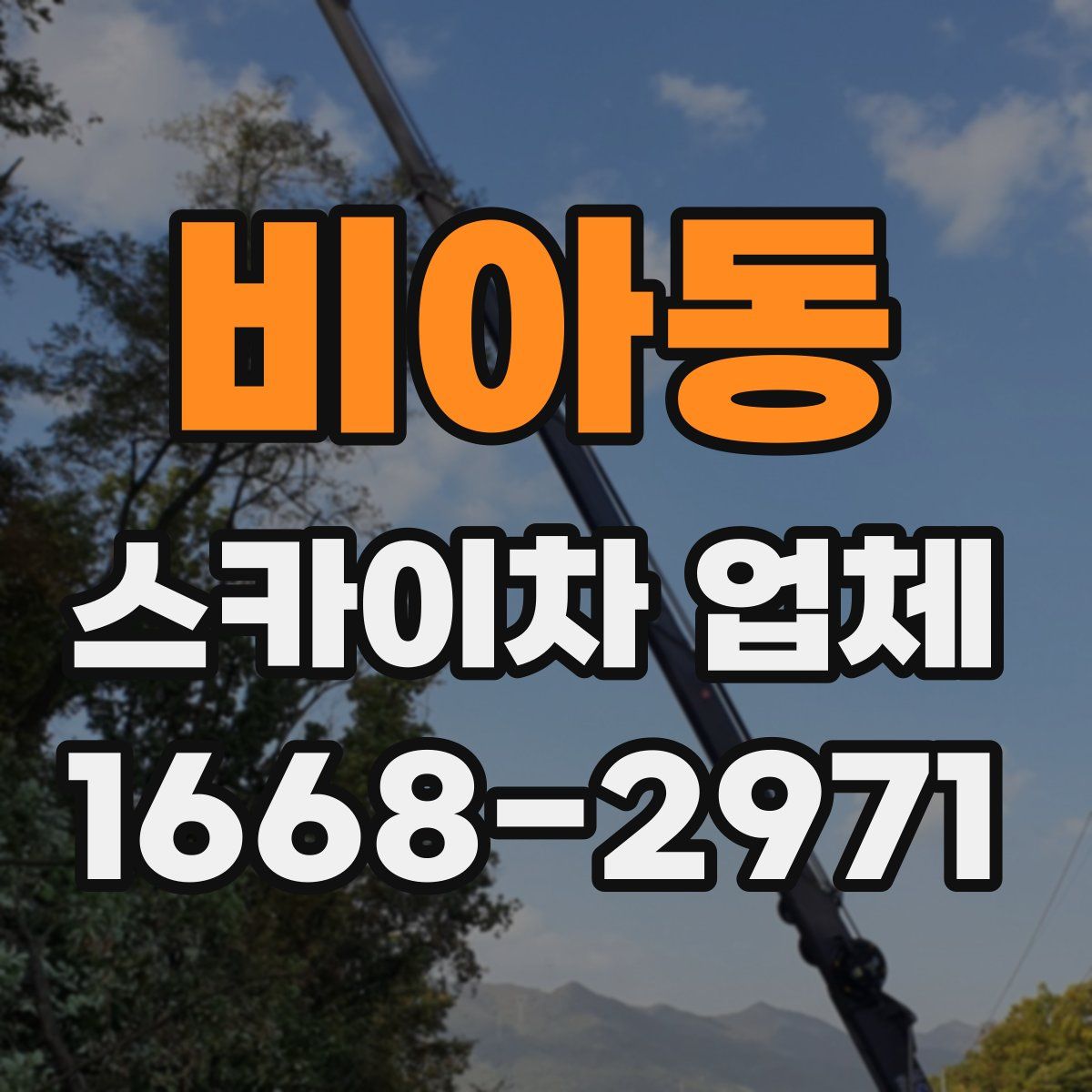 비아동 스카이차 업체