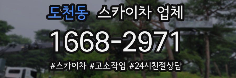 도천동 스카이차 업체