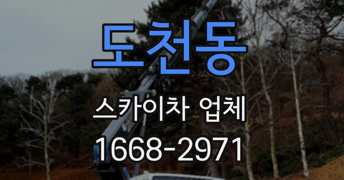 도천동 스카이차 업체