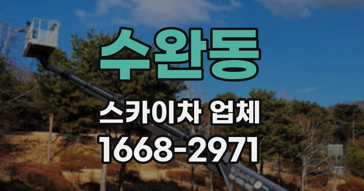 수완동 스카이차 업체