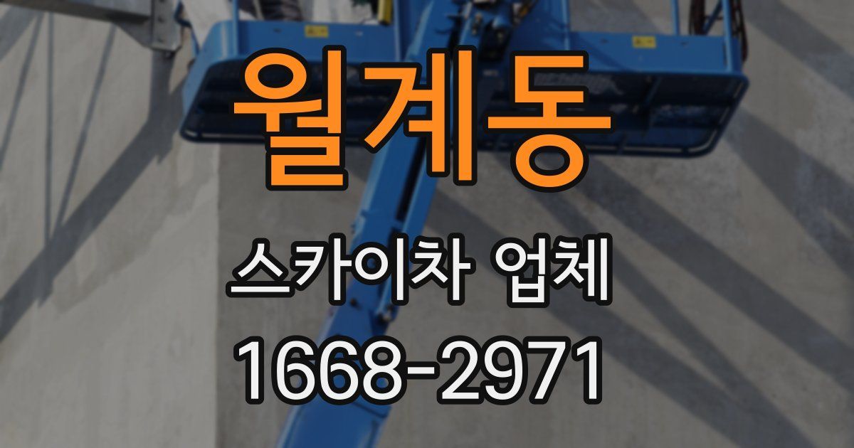월계동 스카이차 업체
