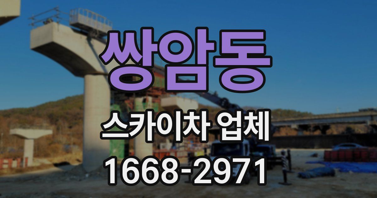 쌍암동 스카이차 업체