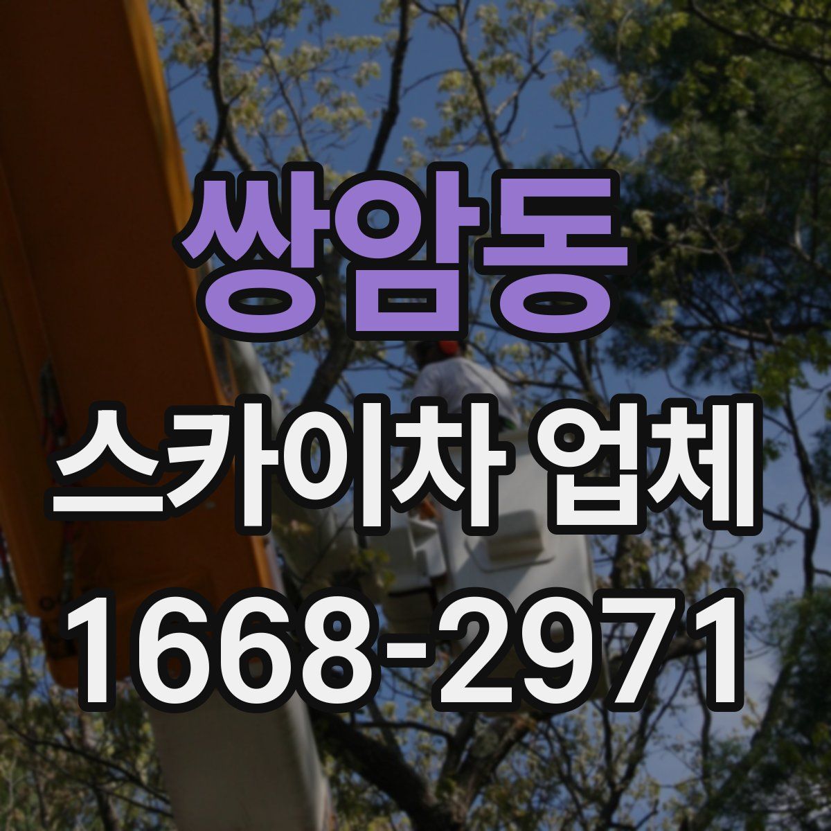 쌍암동 스카이차 업체