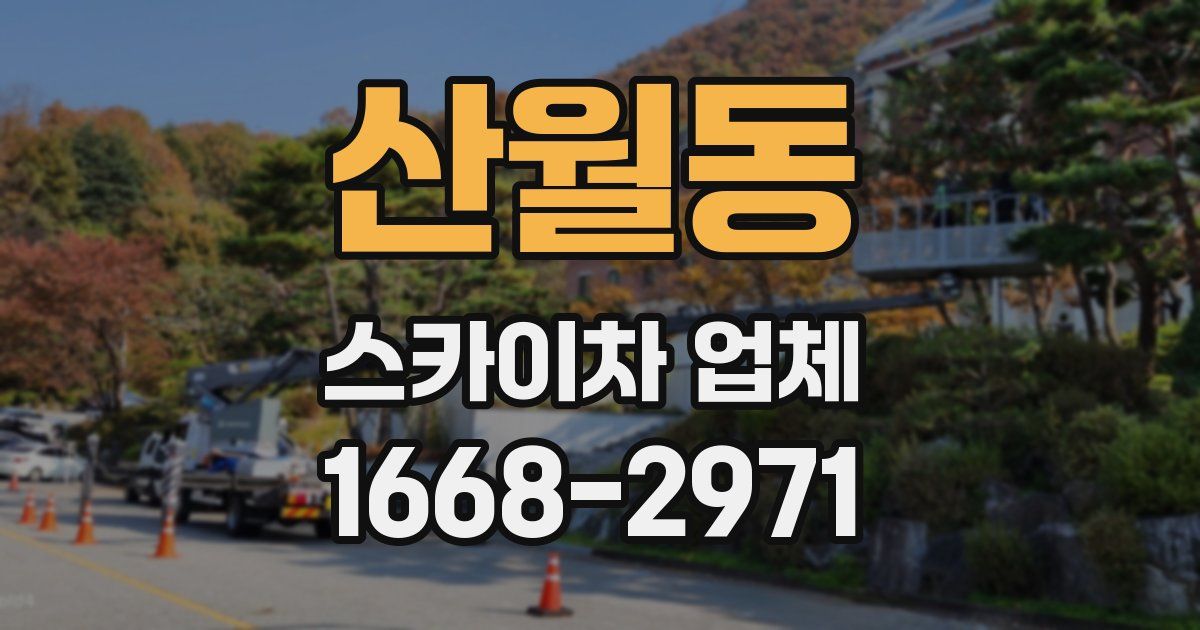 산월동 스카이차 업체