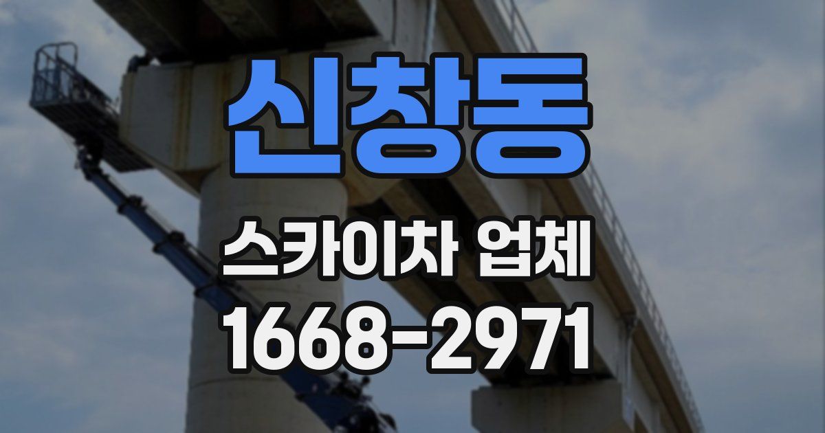 신창동 스카이차 업체