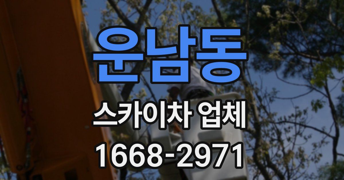 운남동 스카이차 업체
