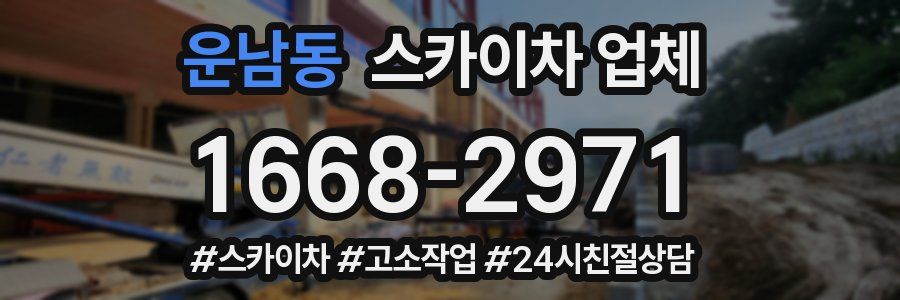 운남동 스카이차 업체