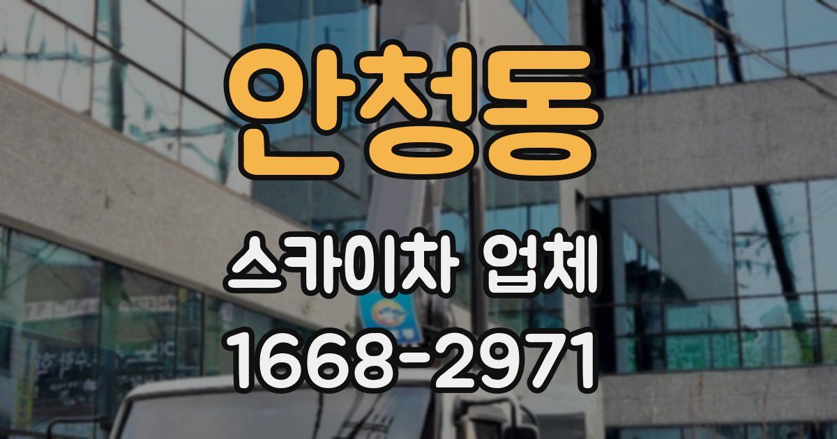 안청동 스카이차 업체