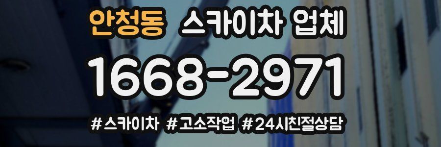 안청동 스카이차 업체
