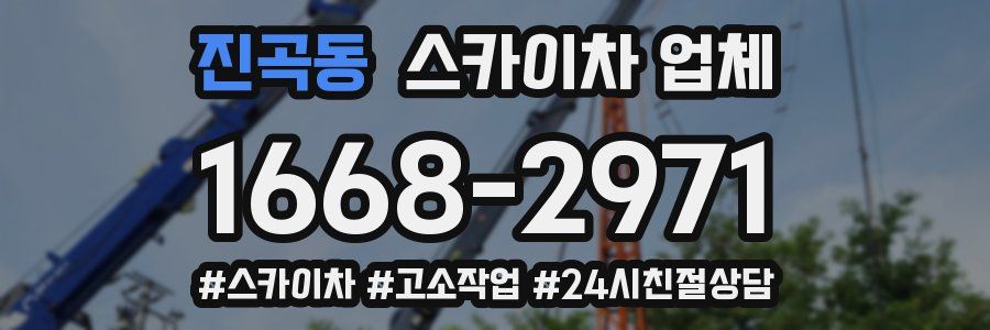 진곡동 스카이차 업체