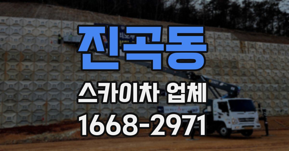 진곡동 스카이차 업체