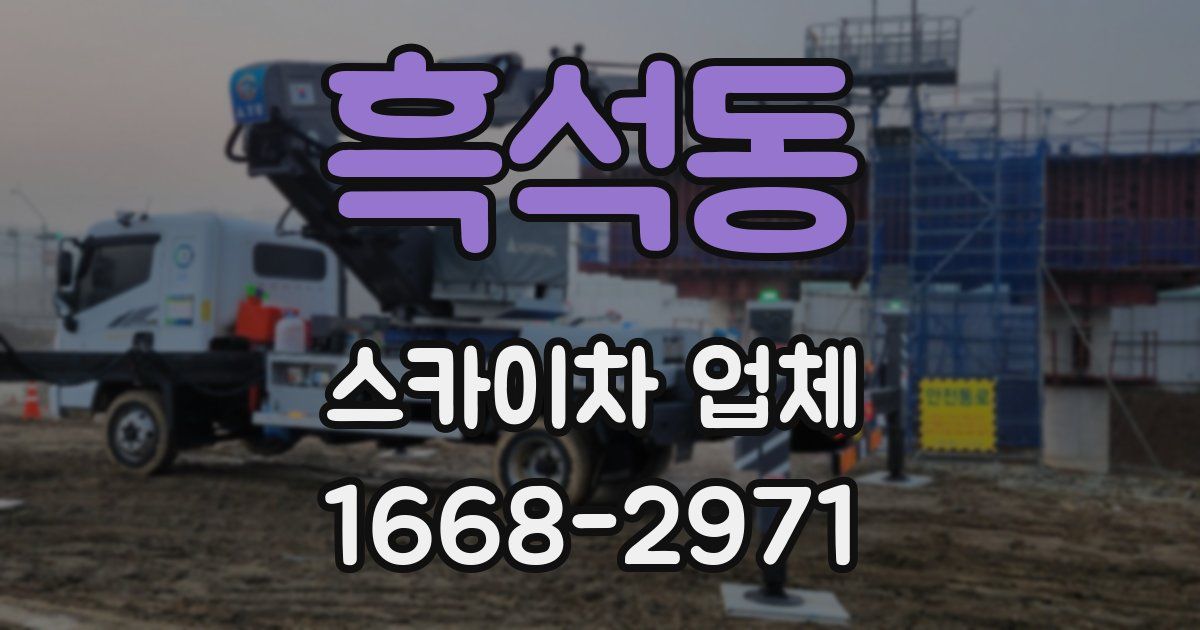 흑석동 스카이차 업체