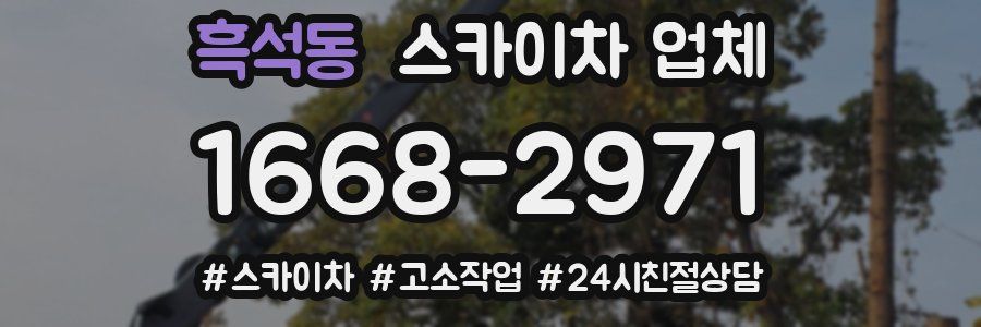 흑석동 스카이차 업체