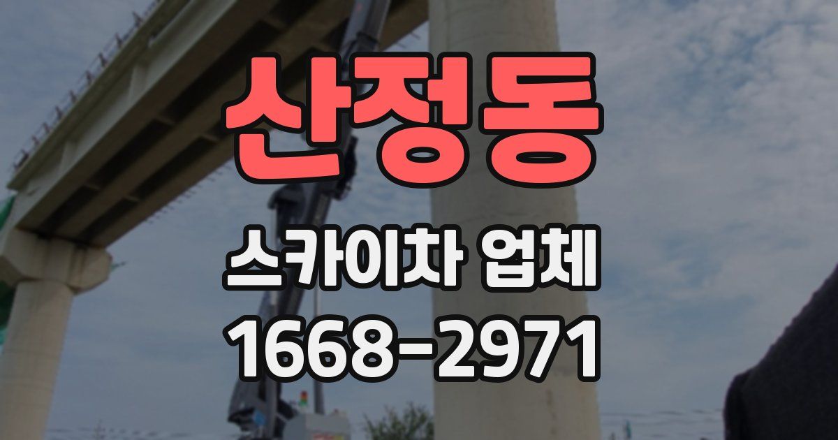 산정동 스카이차 업체