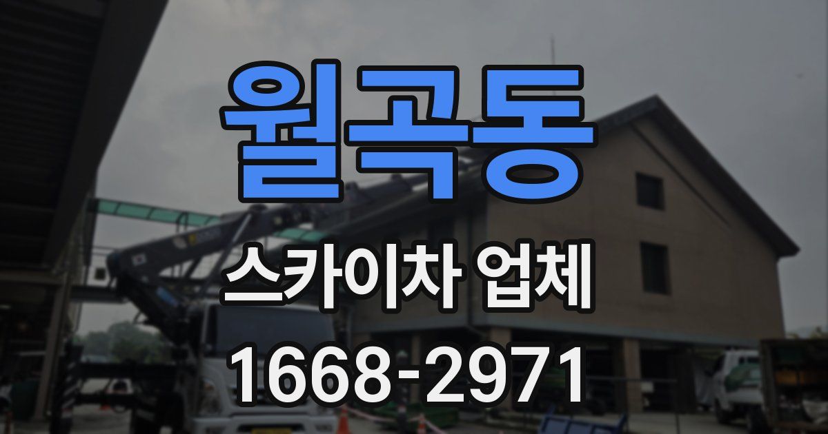 월곡동 스카이차 업체