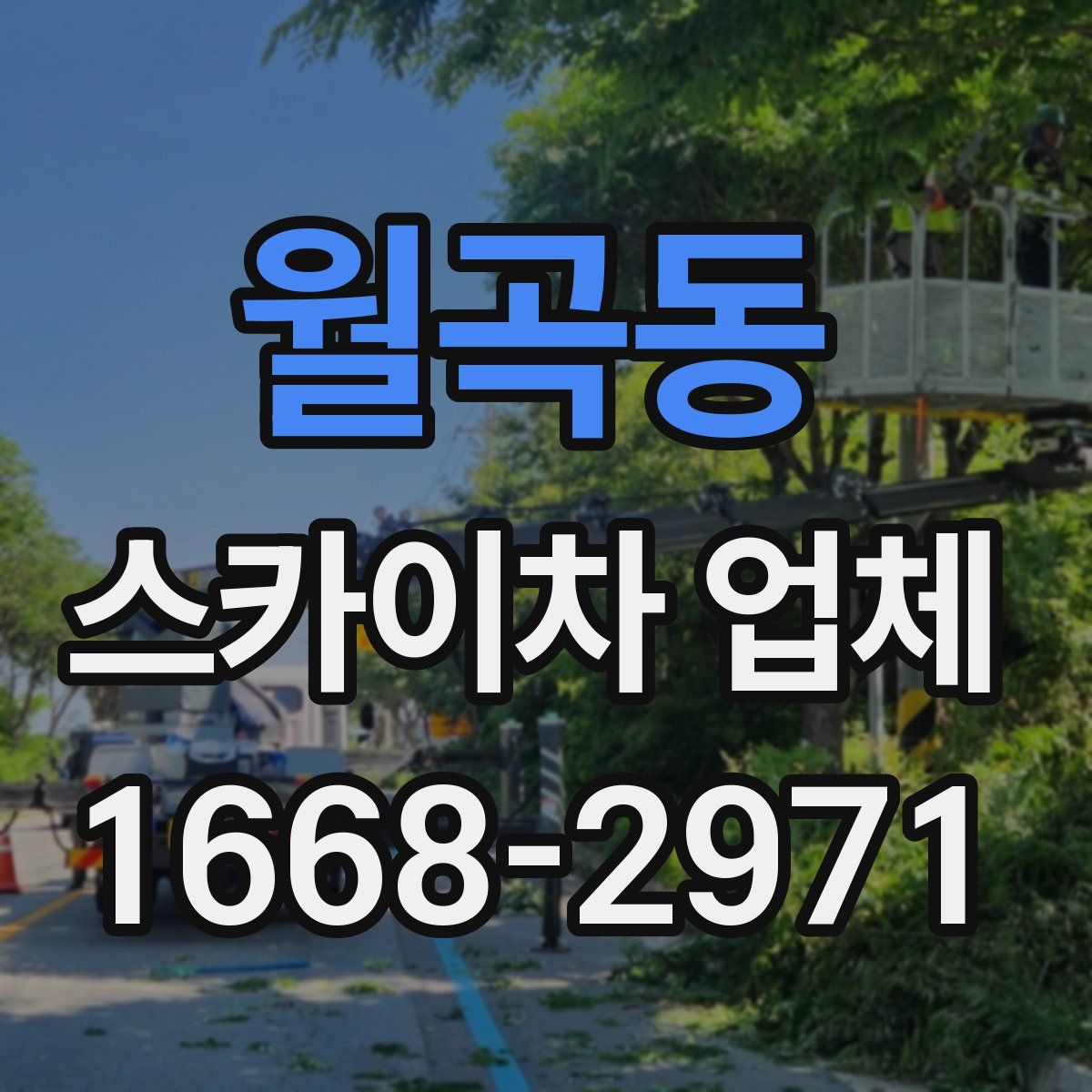 월곡동 스카이차 업체