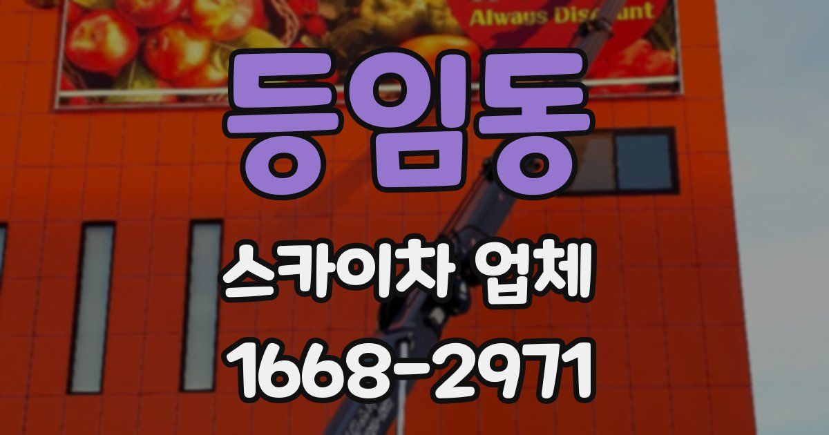 등임동 스카이차 업체