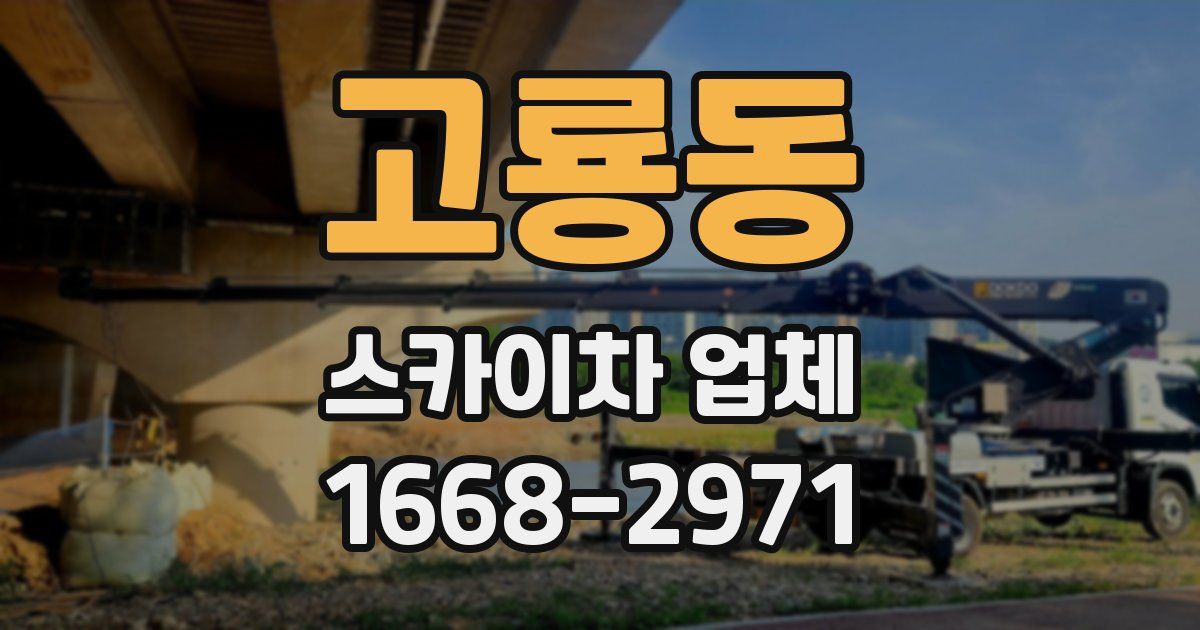 고룡동 스카이차 업체