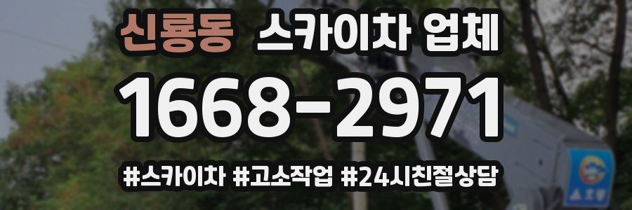 신룡동 스카이차 업체
