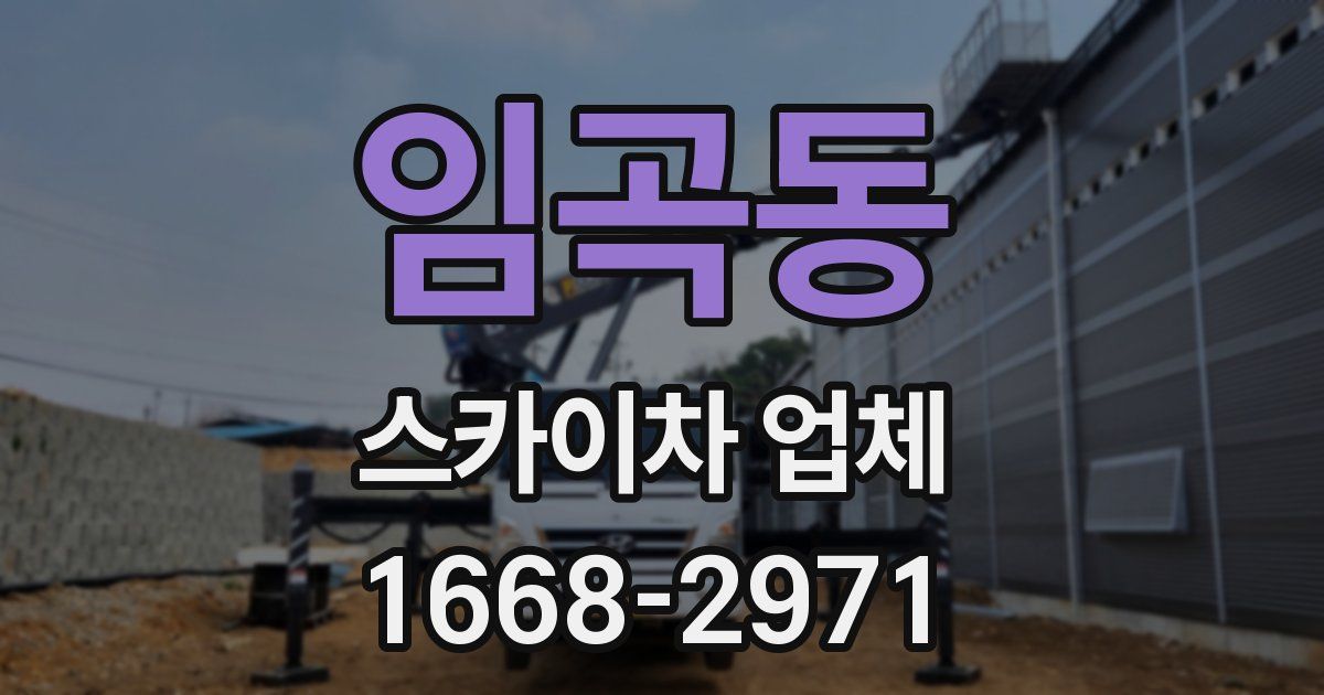 임곡동 스카이차 업체