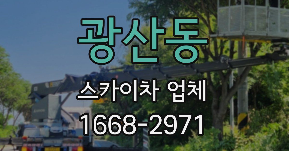 광산동 스카이차 업체