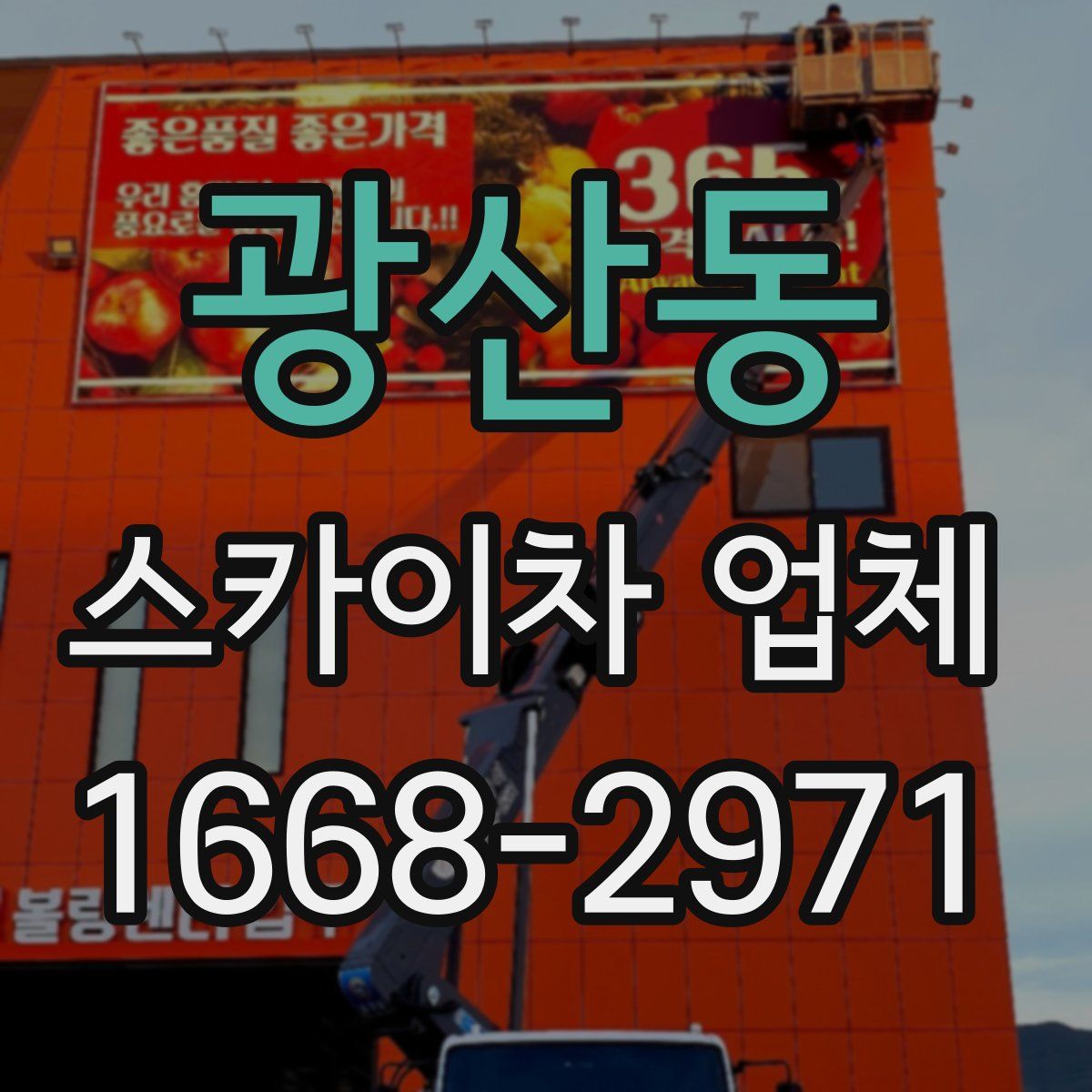 광산동 스카이차 업체