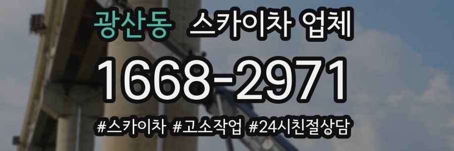 광산동 스카이차 업체