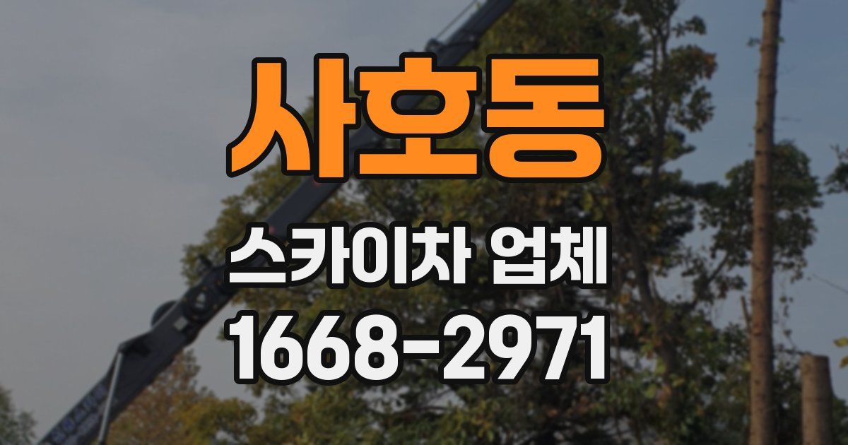 사호동 스카이차 업체