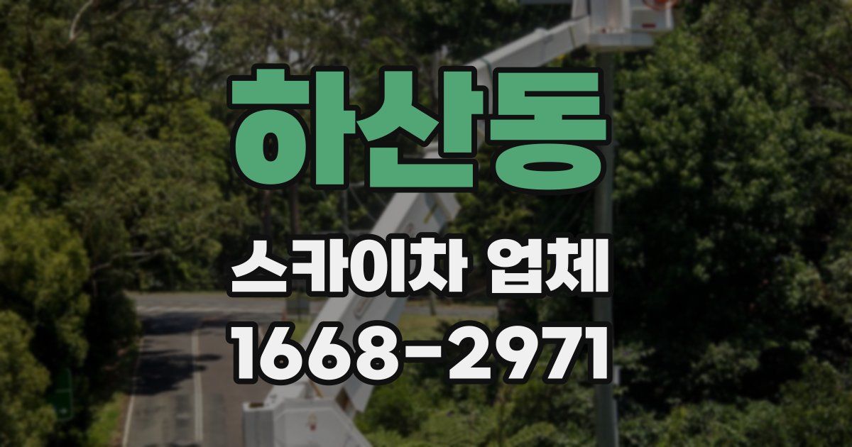 하산동 스카이차 업체