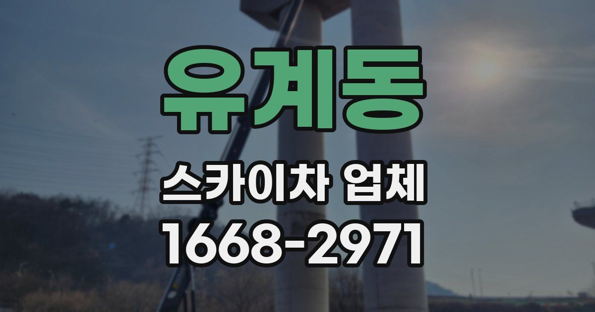 유계동 스카이차 업체