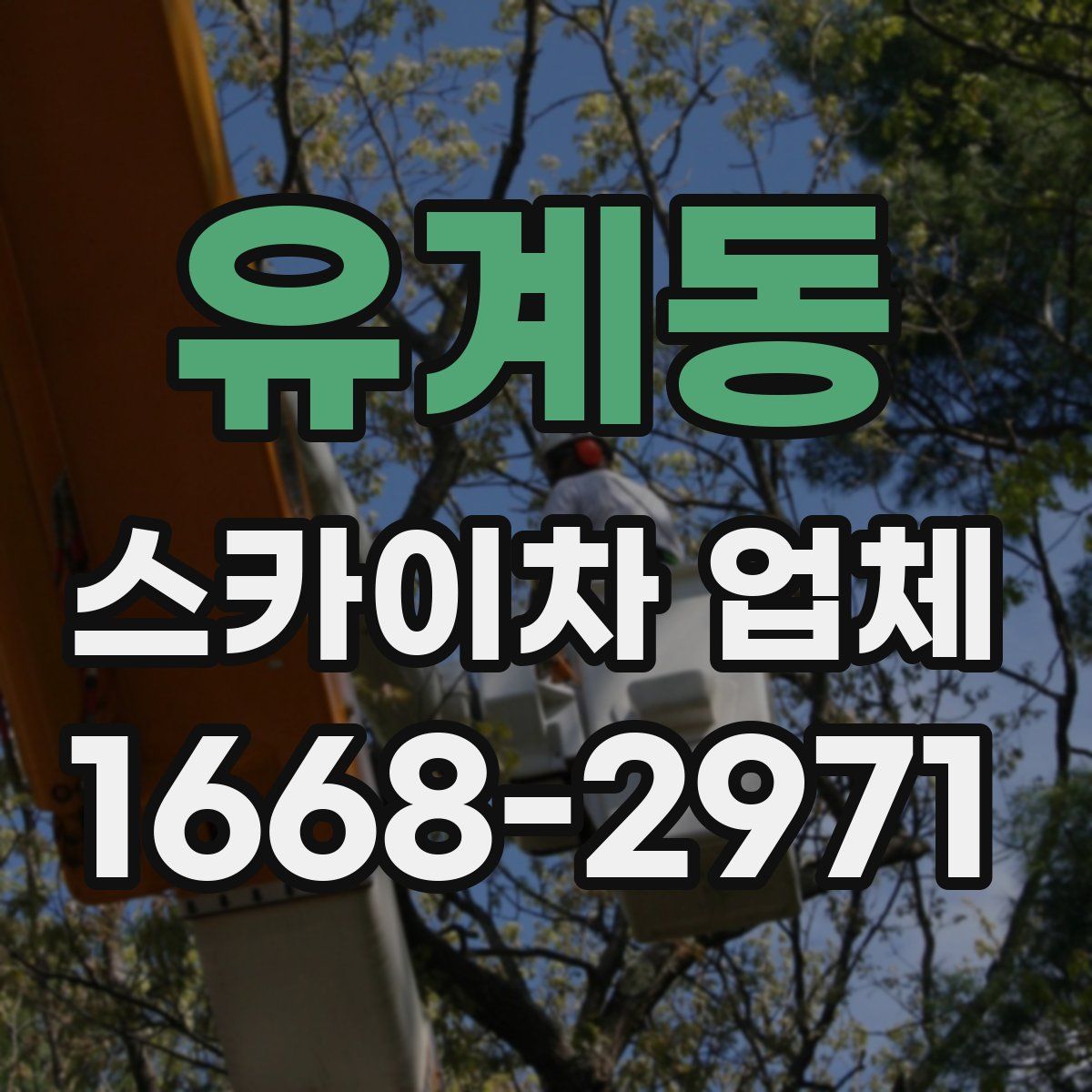 유계동 스카이차 업체