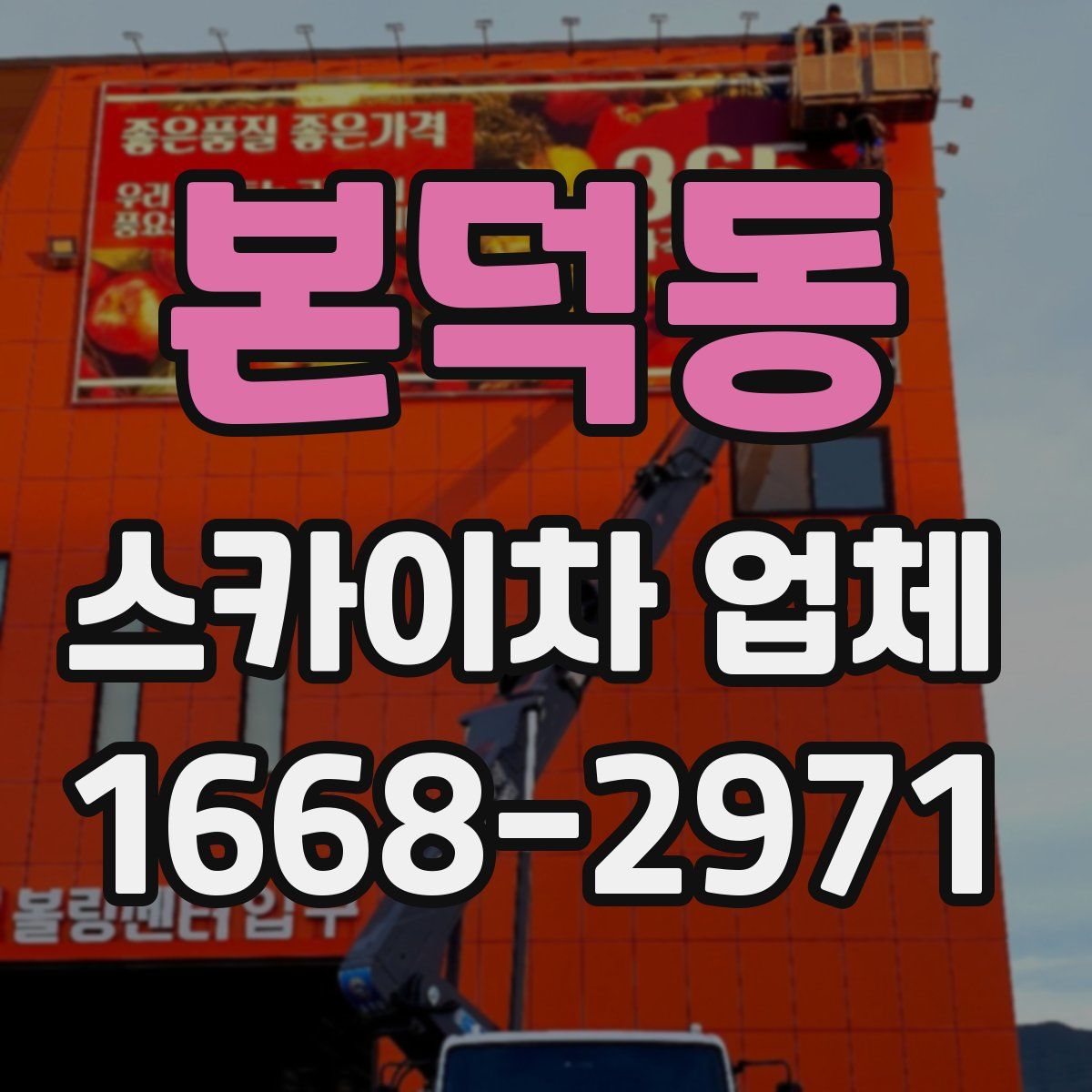 본덕동 스카이차 업체