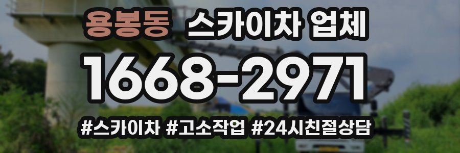 용봉동 스카이차 업체