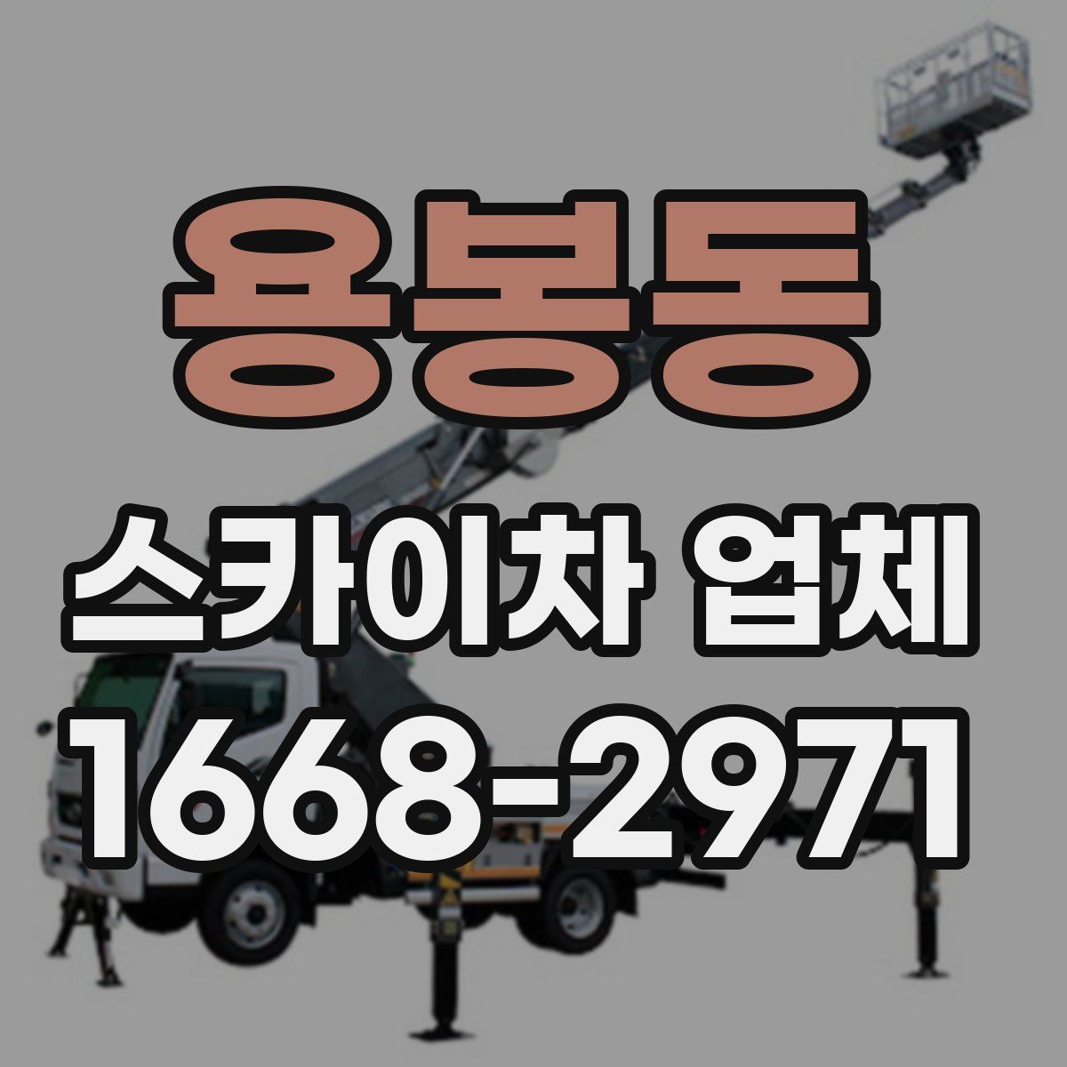 용봉동 스카이차 업체