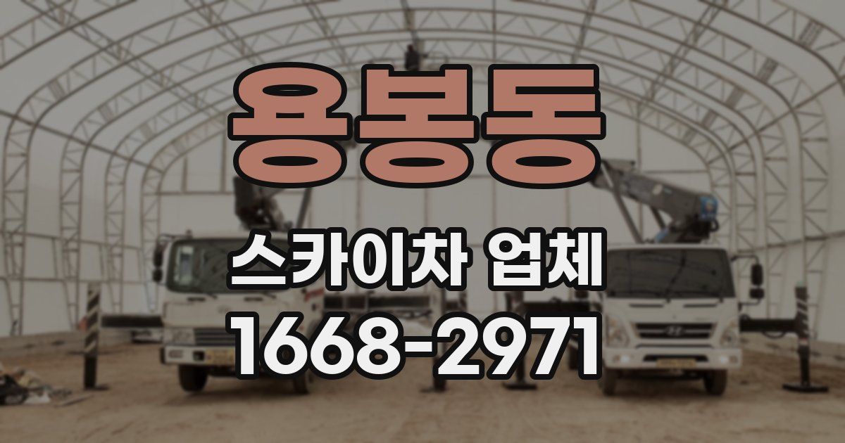 용봉동 스카이차 업체
